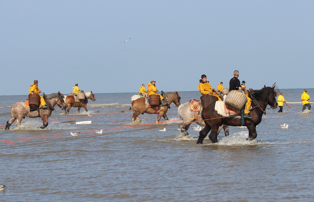 Oostduinkerke